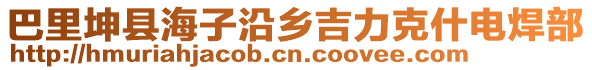 巴里坤县海子沿乡吉力克什电焊部