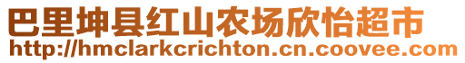 巴里坤縣紅山農(nóng)場(chǎng)欣怡超市