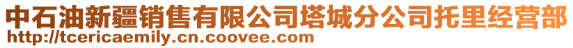 中石油新疆销售有限公司塔城分公司托里经营部