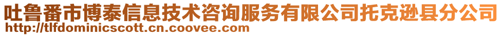 吐魯番市博泰信息技術(shù)咨詢服務(wù)有限公司托克遜縣分公司