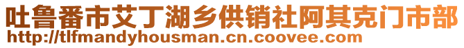 吐魯番市艾丁湖鄉(xiāng)供銷社阿其克門市部