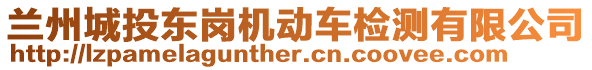 蘭州城投東崗機(jī)動(dòng)車檢測(cè)有限公司