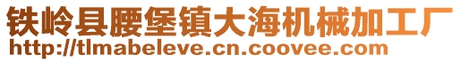 鐵嶺縣腰堡鎮(zhèn)大海機械加工廠