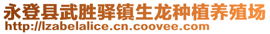 永登县武胜驿镇生龙种植养殖场