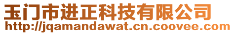 玉門市進正科技有限公司