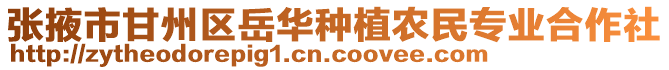 張掖市甘州區(qū)岳華種植農(nóng)民專業(yè)合作社