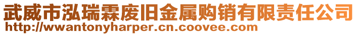 武威市泓瑞霖廢舊金屬購(gòu)銷有限責(zé)任公司