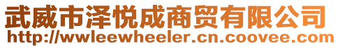 武威市澤悅成商貿(mào)有限公司