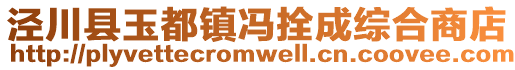 泾川县玉都镇冯拴成综合商店