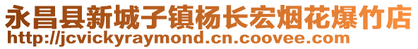 永昌縣新城子鎮(zhèn)楊長宏煙花爆竹店