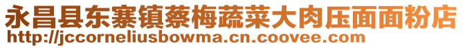 永昌縣東寨鎮(zhèn)蔡梅蔬菜大肉壓面面粉店