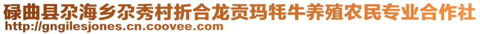 碌曲縣尕海鄉(xiāng)尕秀村折合龍貢瑪牦牛養(yǎng)殖農(nóng)民專業(yè)合作社