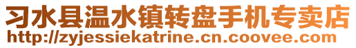 习水县温水镇转盘手机专卖店