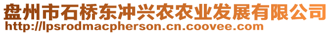 盤州市石橋東沖興農農業(yè)發(fā)展有限公司