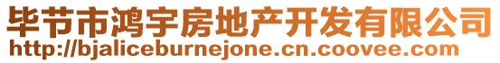 畢節(jié)市鴻宇房地產(chǎn)開(kāi)發(fā)有限公司