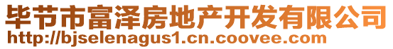 畢節(jié)市富澤房地產(chǎn)開發(fā)有限公司