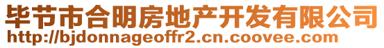 畢節(jié)市合明房地產(chǎn)開發(fā)有限公司