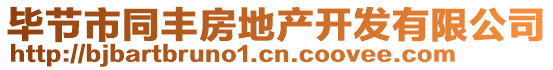 畢節(jié)市同豐房地產(chǎn)開(kāi)發(fā)有限公司