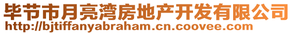 畢節(jié)市月亮灣房地產(chǎn)開發(fā)有限公司