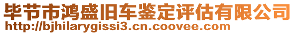 畢節(jié)市鴻盛舊車鑒定評估有限公司