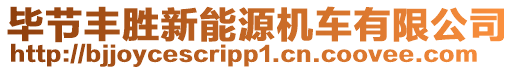 畢節豐勝新能源機車有限公司