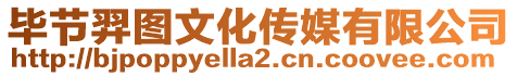 畢節(jié)羿圖文化傳媒有限公司