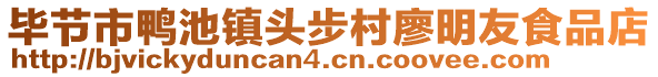 畢節(jié)市鴨池鎮(zhèn)頭步村廖明友食品店