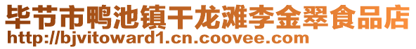 畢節(jié)市鴨池鎮(zhèn)干龍灘李金翠食品店