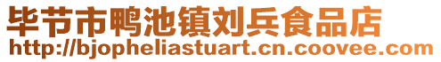 畢節(jié)市鴨池鎮(zhèn)劉兵食品店