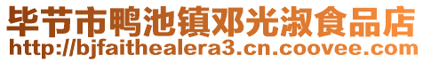 畢節(jié)市鴨池鎮(zhèn)鄧光淑食品店