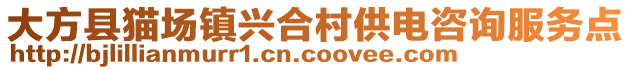 大方縣貓場(chǎng)鎮(zhèn)興合村供電咨詢服務(wù)點(diǎn)