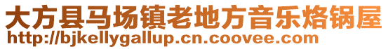 大方縣馬場鎮(zhèn)老地方音樂烙鍋屋