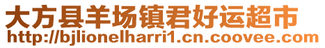 大方縣羊場鎮君好運超市