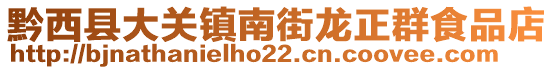 黔西縣大關(guān)鎮(zhèn)南街龍正群食品店