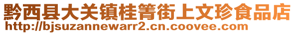 黔西县大关镇桂箐街上文珍食品店