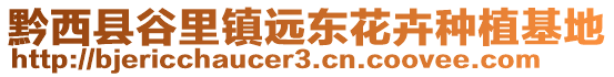 黔西縣谷里鎮(zhèn)遠(yuǎn)東花卉種植基地