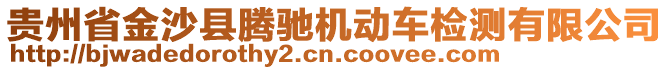 貴州省金沙縣騰馳機(jī)動(dòng)車檢測(cè)有限公司