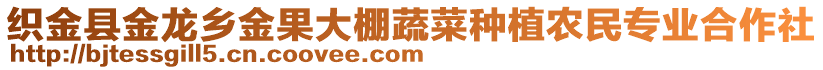 織金縣金龍鄉(xiāng)金果大棚蔬菜種植農(nóng)民專業(yè)合作社