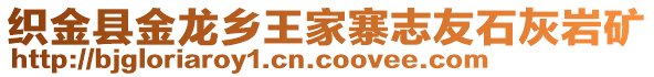 織金縣金龍鄉(xiāng)王家寨志友石灰?guī)r礦