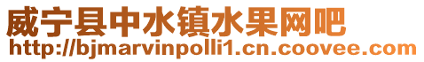 威寧縣中水鎮水果網吧