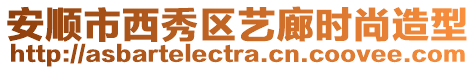 安順市西秀區(qū)藝?yán)葧r(shí)尚造型