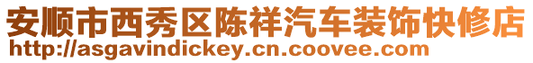 安順市西秀區(qū)陳祥汽車裝飾快修店