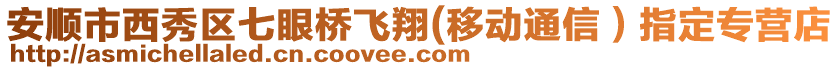 安順市西秀區(qū)七眼橋飛翔(移動通信）指定專營店