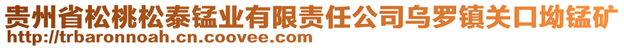 貴州省松桃松泰錳業(yè)有限責(zé)任公司烏羅鎮(zhèn)關(guān)口坳錳礦