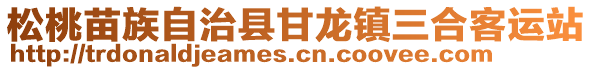 松桃苗族自治縣甘龍鎮(zhèn)三合客運站