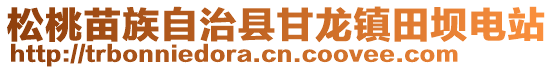 松桃苗族自治縣甘龍鎮(zhèn)田壩電站