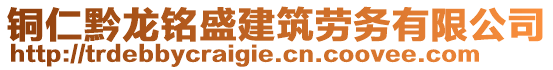 銅仁黔龍銘盛建筑勞務(wù)有限公司