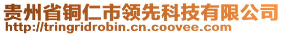 貴州省銅仁市領(lǐng)先科技有限公司