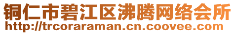 銅仁市碧江區(qū)沸騰網(wǎng)絡(luò)會(huì)所