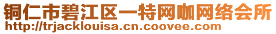 銅仁市碧江區(qū)一特網(wǎng)咖網(wǎng)絡(luò)會所